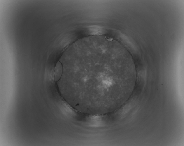 X0000112170325200908141311