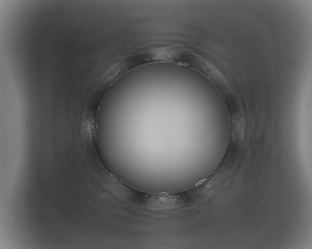 X0000112170329200908141311