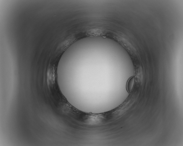 X0000112170334200908141311