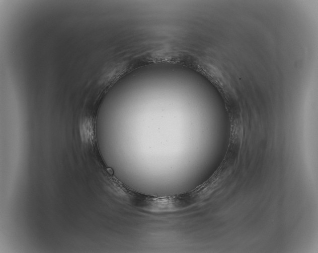 X0000112170335200908141311