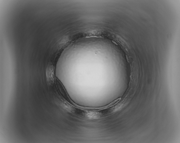 X0000112170336200908141310