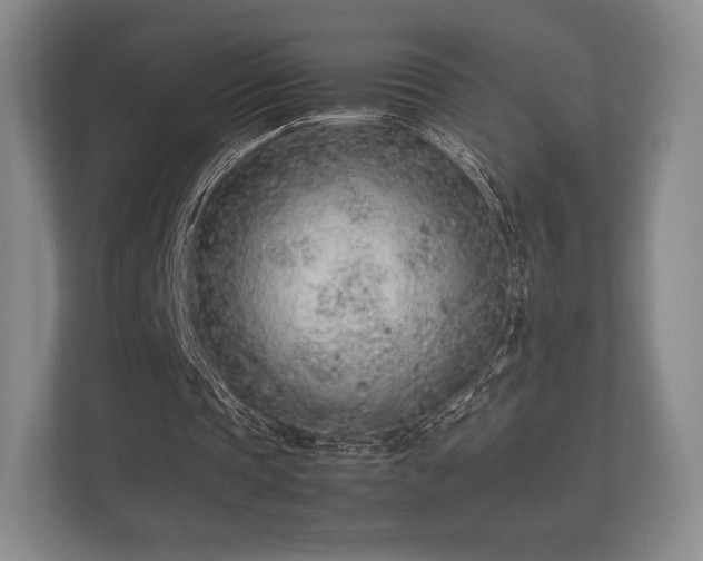 X0000112170337200908141310