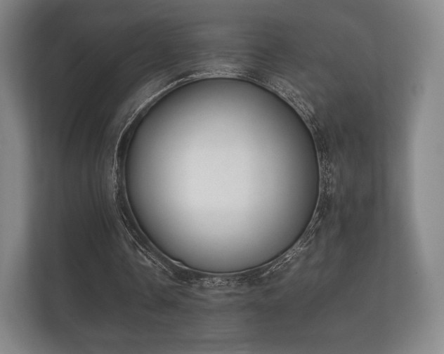 X0000112170338200908141310