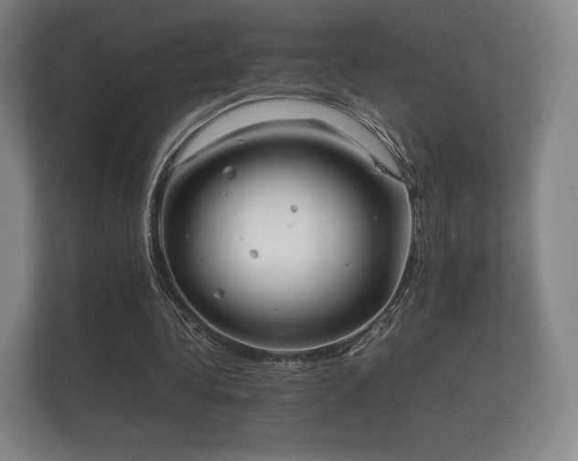 X0000112170340200908141310