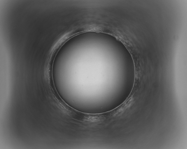 X0000112170341200908141310