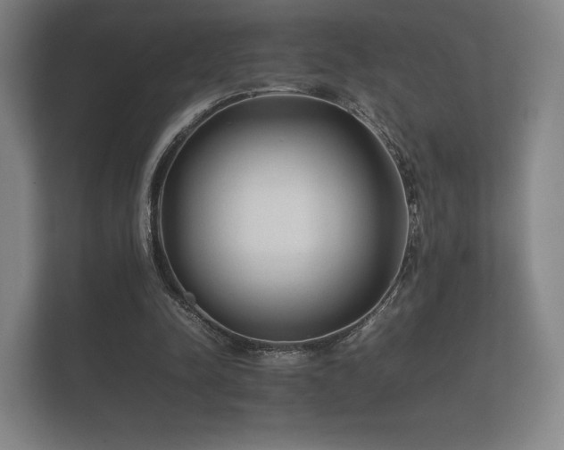 X0000112170342200908141310