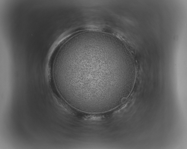 X0000112170343200908141310