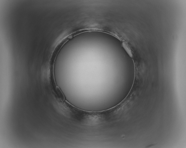 X0000112170344200908141310