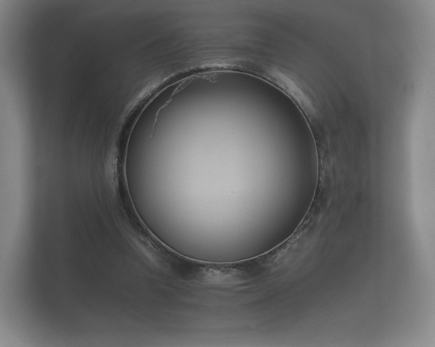 X0000112170346200908141310