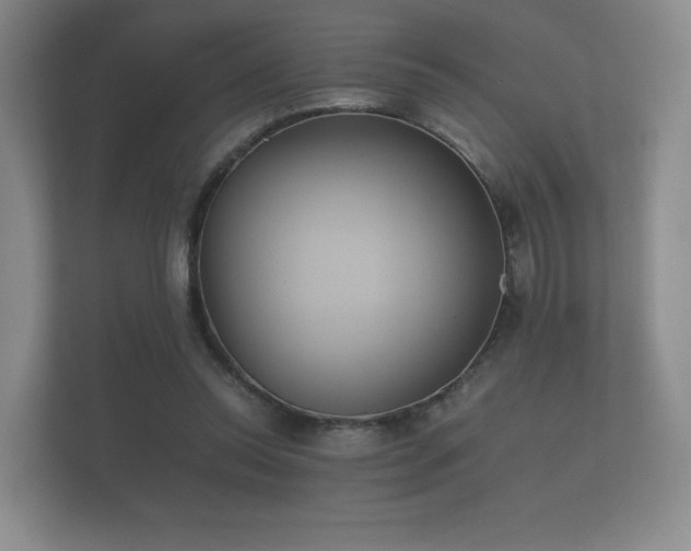 X0000112170350200908141310