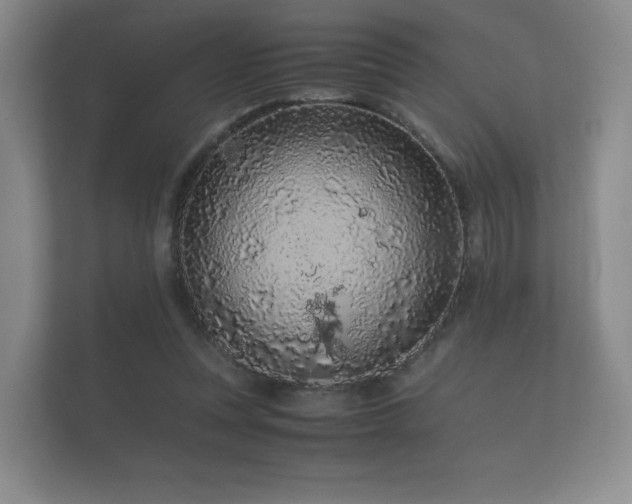 X0000112170351200908141310