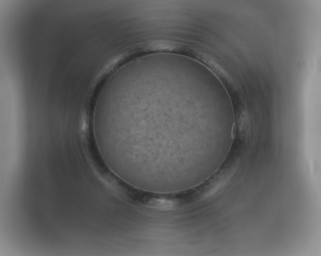 X0000112170352200908141310