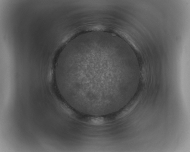 X0000112170355200908141310