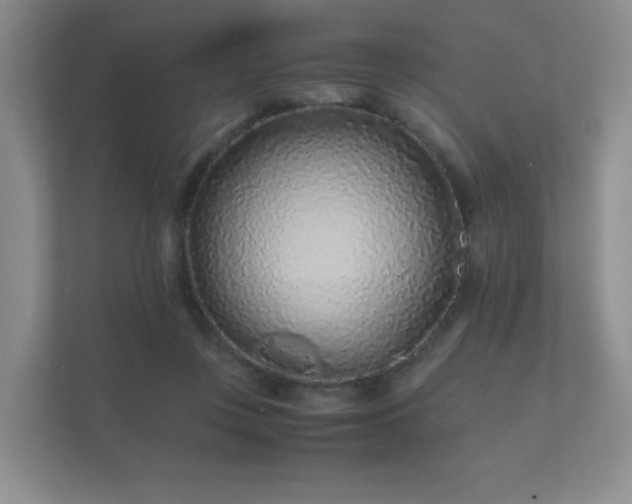 X0000112170359200908141310