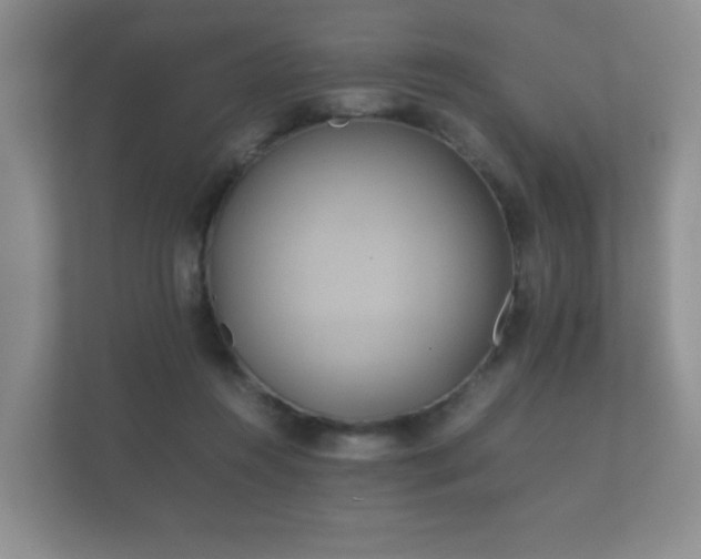 X0000112170360200908141310