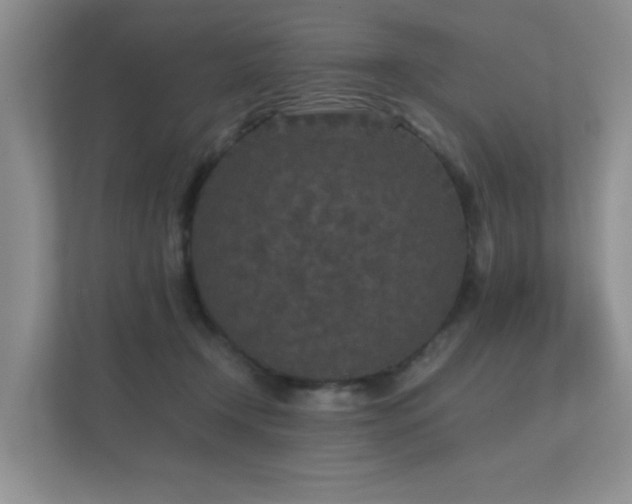 X0000112170366200908141310