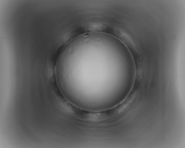 X0000112170367200908141310