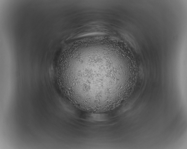 X0000112170371200908141310