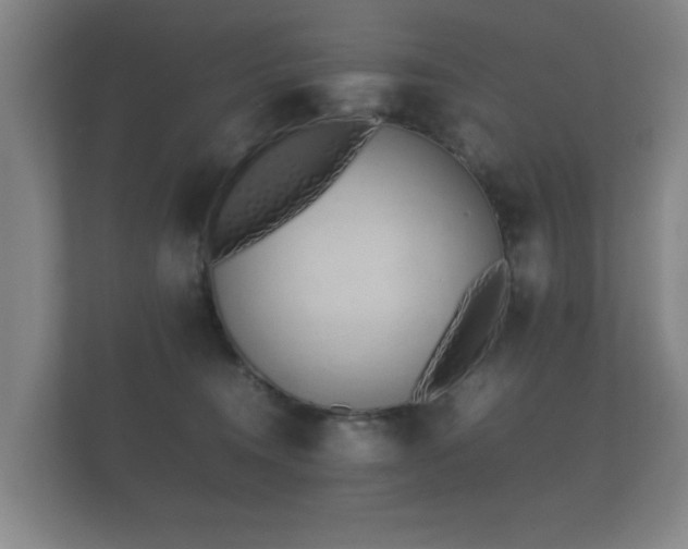 X0000112170372200908141310