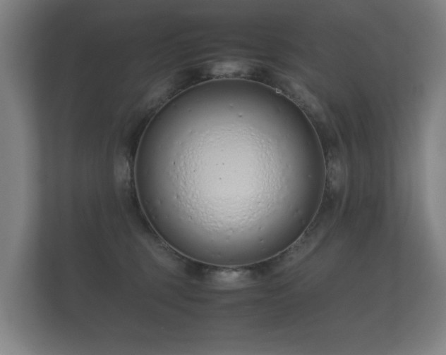 X0000112170375200908141310