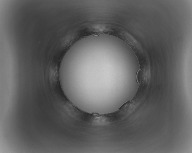 X0000112170376200908141310