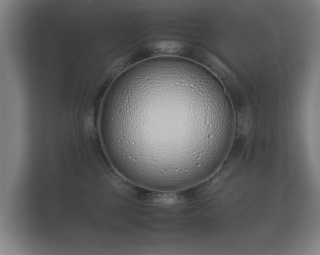 X0000112170377200908141310