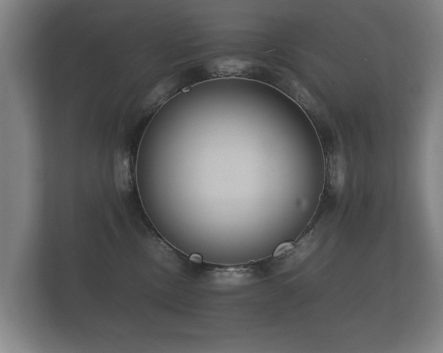 X0000112170378200908141310