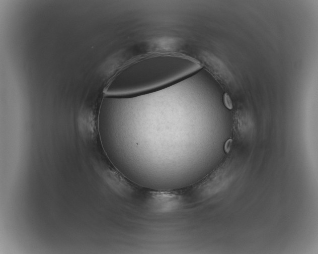 X0000112170380200908141310