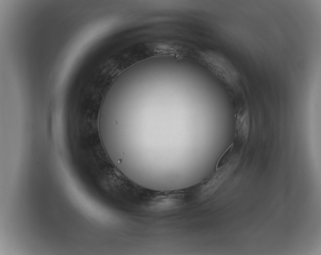 X0000112170381200908141310