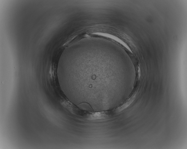 X0000112170382200908141310