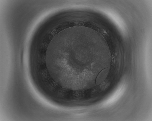 X0000112170383200908141310