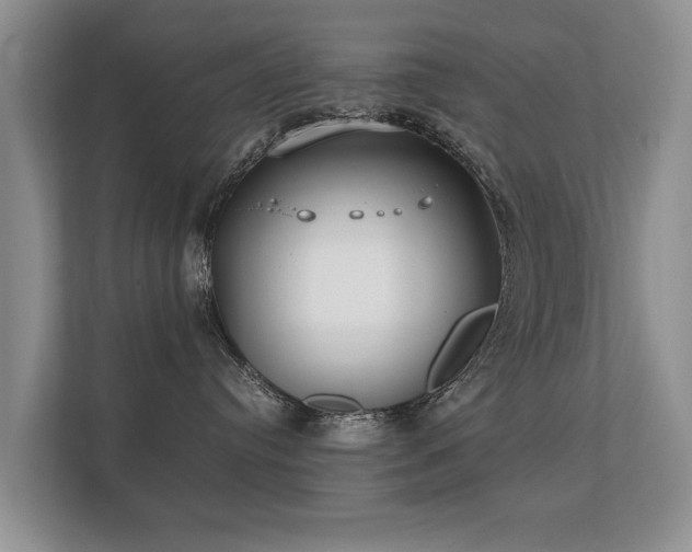 X0000112170384200908141310