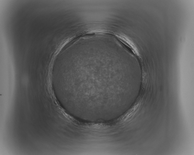 X0000112170385200908141310