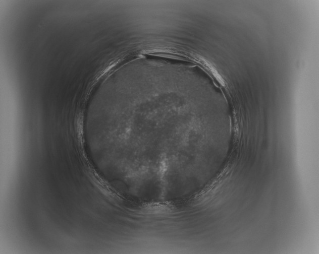 X0000112170386200908141310