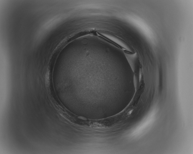 X0000112170387200908141310