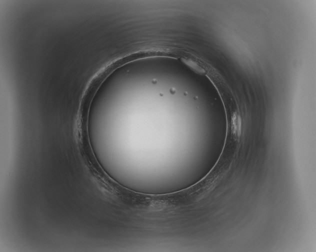 X0000112170388200908141310