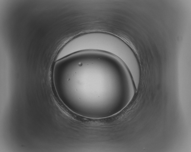 X0000112170389200908141310