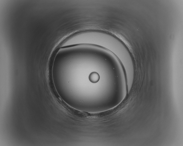 X0000112170391200908141310