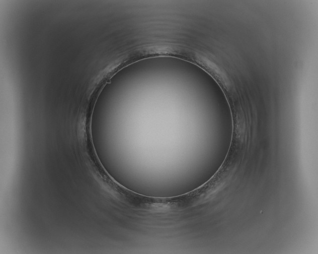 X0000112170394200908141310