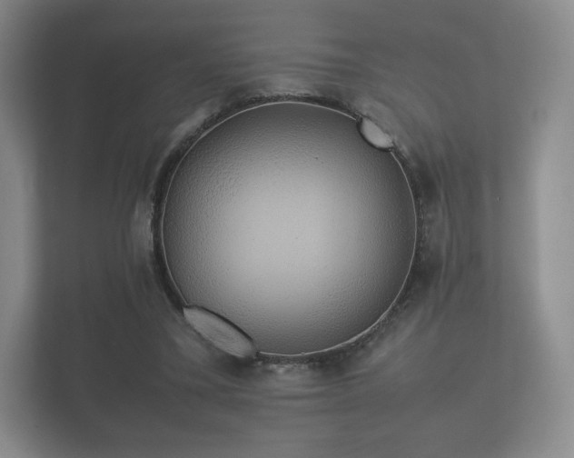 X0000112170395200908141310