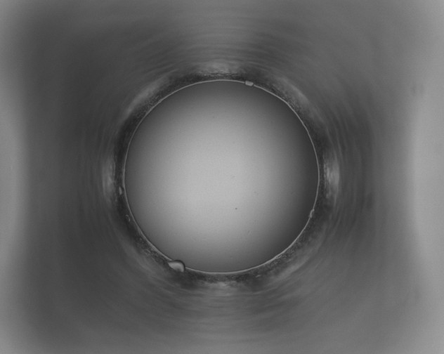 X0000112170396200908141310