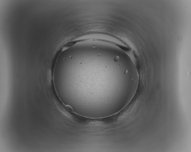 X0000112170397200908141310