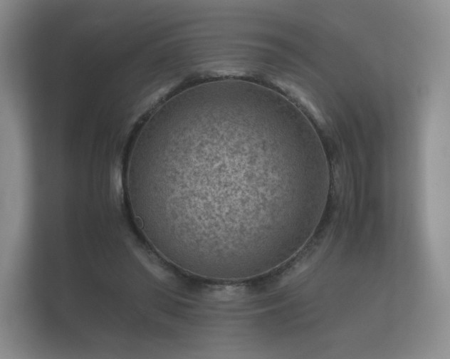 X0000112170398200908141310