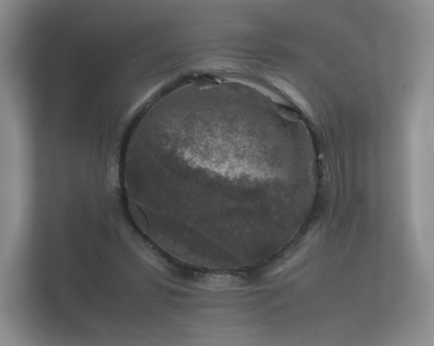 X0000112170399200908141310