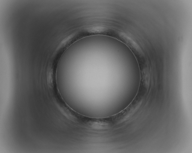 X0000112170400200908141310