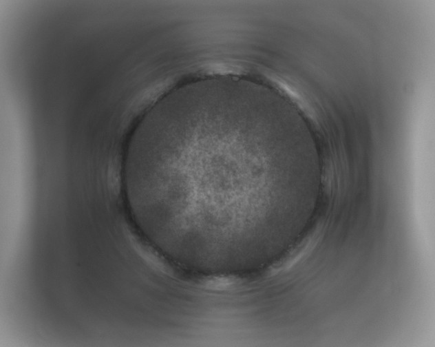 X0000112170402200908141310