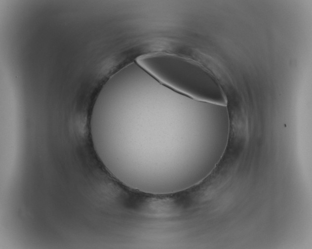 X0000112170403200908141310