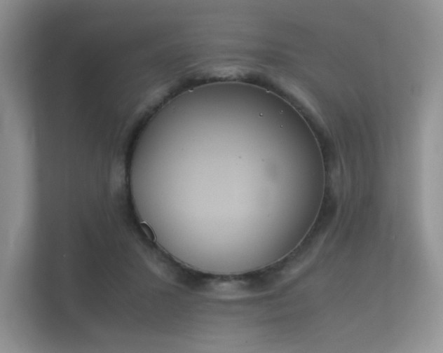 X0000112170407200908141310