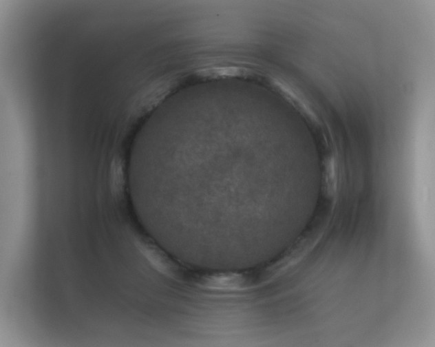 X0000112170410200908141310