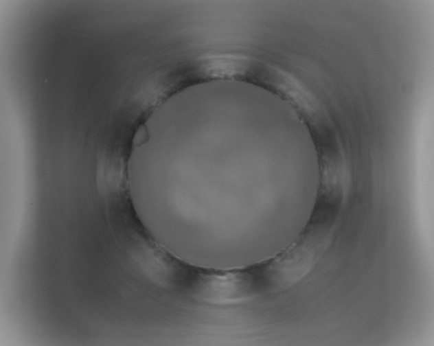 X0000112170411200908141310